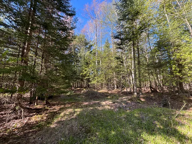 $225,000 | 60 East A E Walker Road, Harrisville, MI 48740