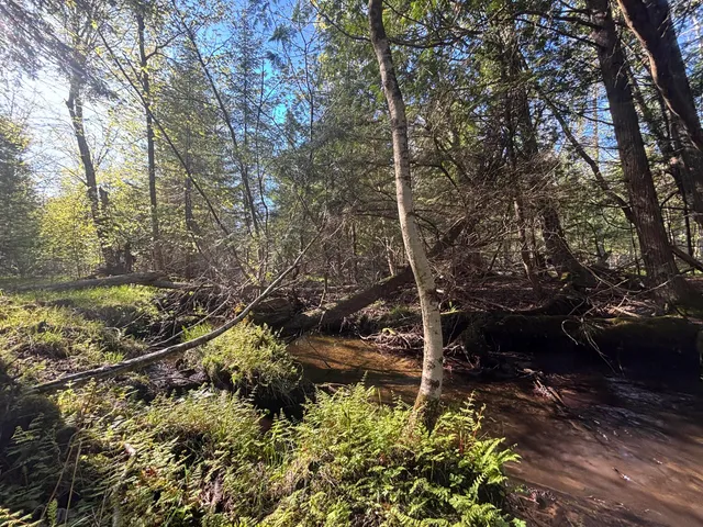 $225,000 | 60 East A E Walker Road, Harrisville, MI 48740