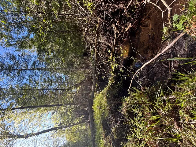 $225,000 | 60 East A E Walker Road, Harrisville, MI 48740