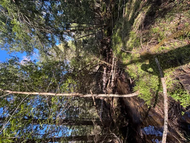 $225,000 | 60 East A E Walker Road, Harrisville, MI 48740