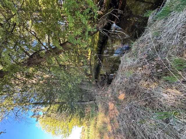 $225,000 | 60 East A E Walker Road, Harrisville, MI 48740