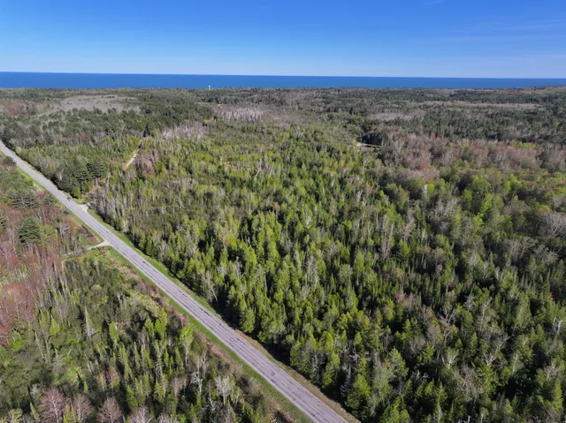 $225,000 | 60 East A E Walker Road, Harrisville, MI 48740