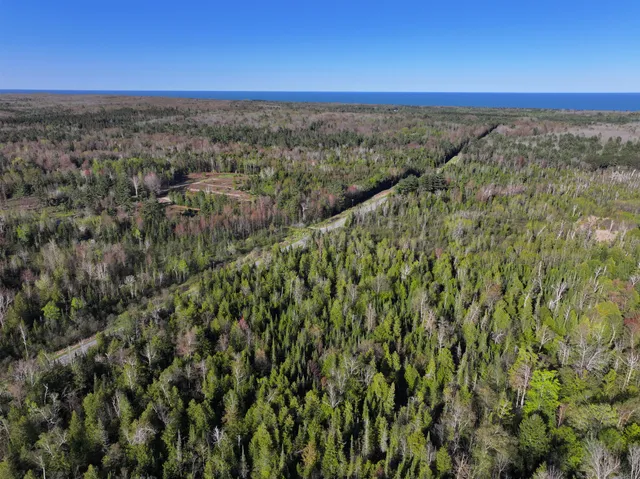 $225,000 | 60 East A E Walker Road, Harrisville, MI 48740