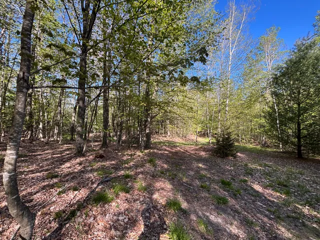 $225,000 | 60 East A E Walker Road, Harrisville, MI 48740