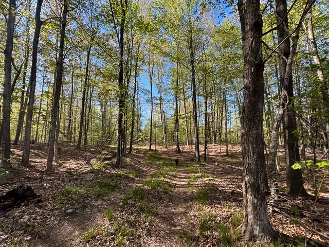 $225,000 | 60 East A E Walker Road, Harrisville, MI 48740