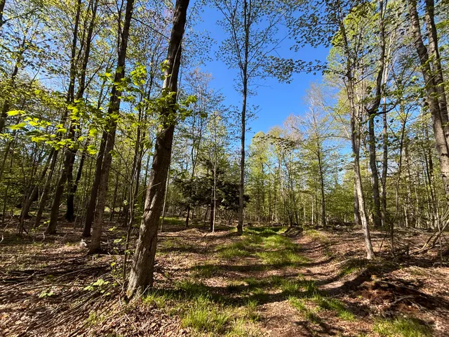 $225,000 | 60 East A E Walker Road, Harrisville, MI 48740