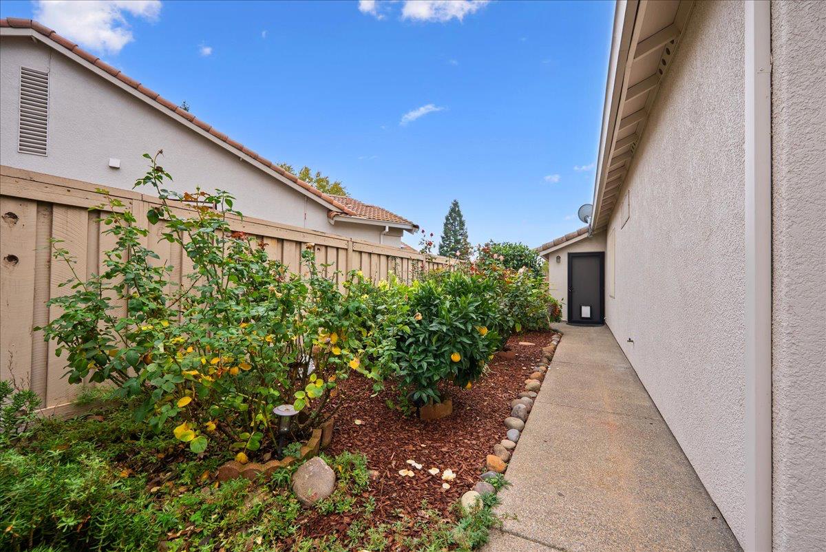 286 Lariat Loop Lincoln, CA 95648 - Photo 20 of 37 a backyard of a house with lots of green space