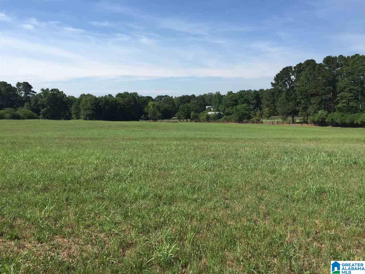 366 Parker Road Cropwell, AL 35054 - Photo 18 of 46