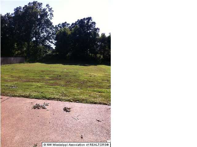 1733 Jaybird Road Hernando, MS 38632 - Photo 2 of 11 Additional Photo