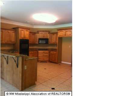 1733 Jaybird Road Hernando, MS 38632 - Photo 5 of 11 Additional Photo