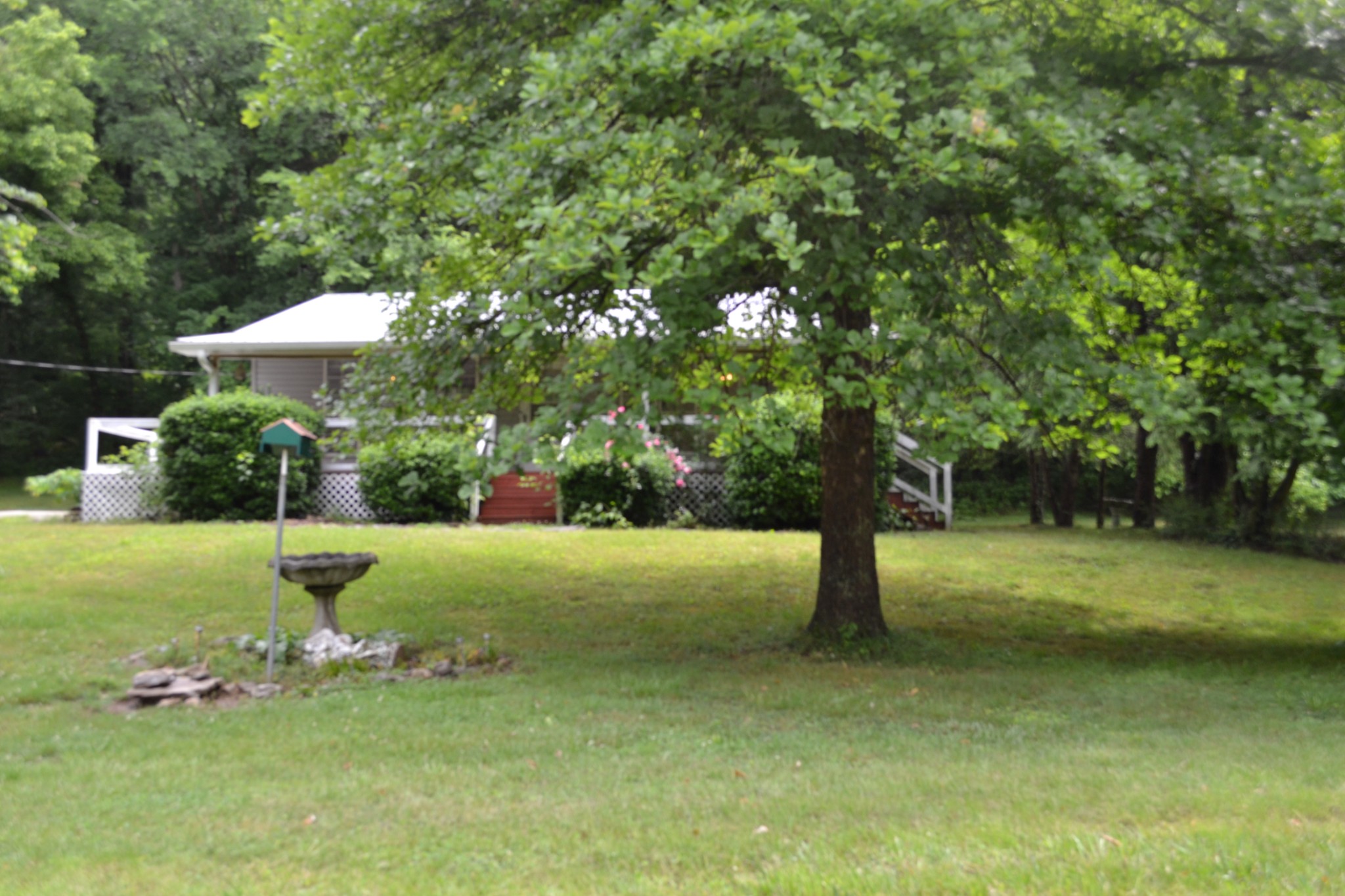 1505 Add Stafford Road Hilham, TN 38568 - Photo 48 of 65 a fire hydrant in the middle of a field