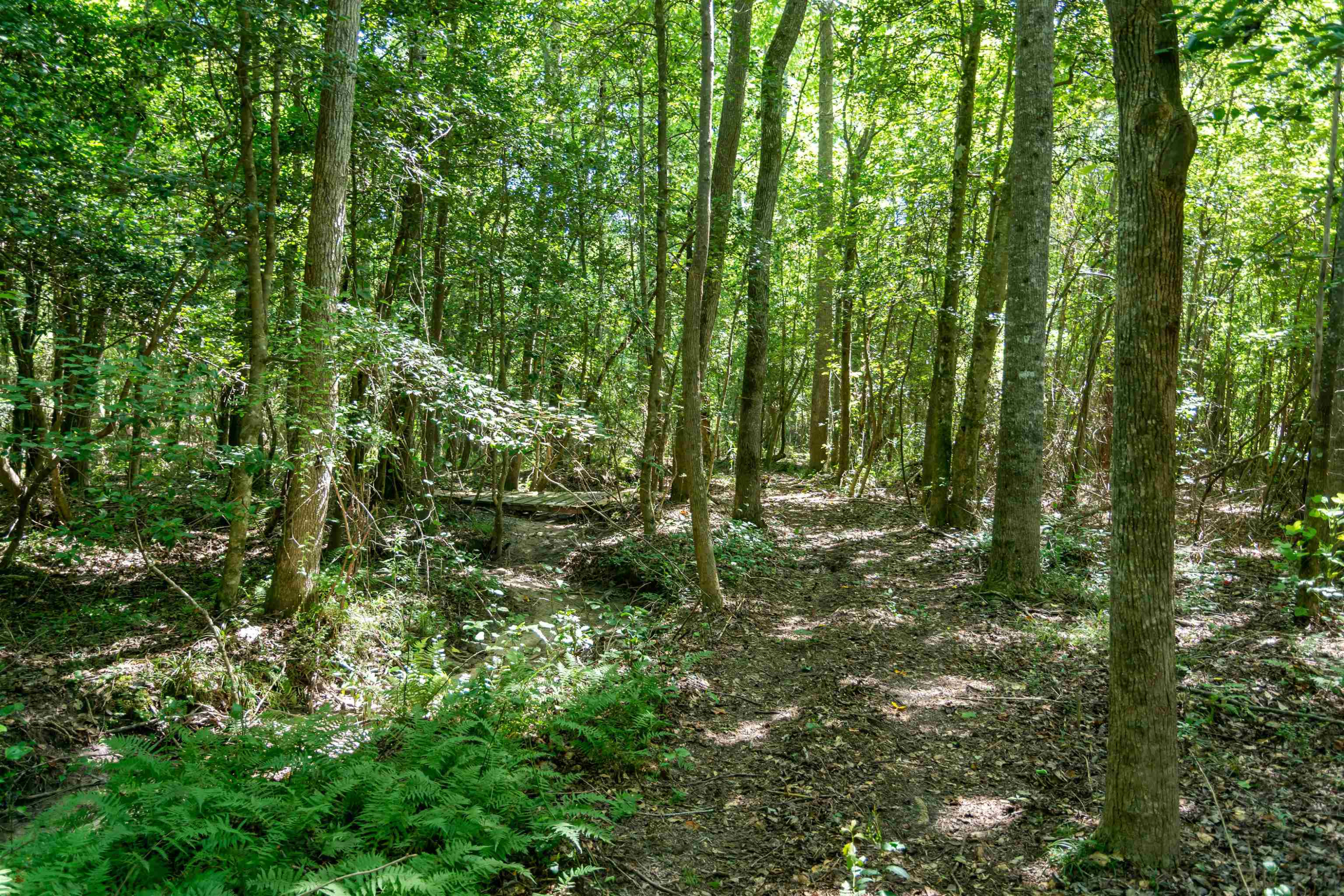 371 Godwin Road Benson, NC 27504 - Photo 47 of 58 Photo 47