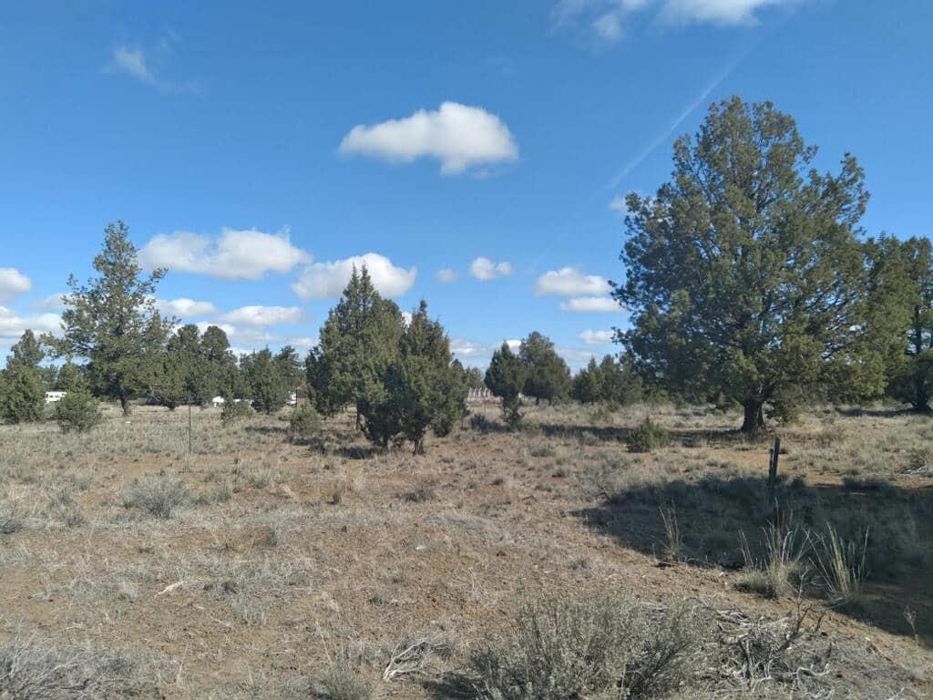 0 Homeland Road Macdoel, CA 96058 - Photo 2 of 4 Gallery Image 2