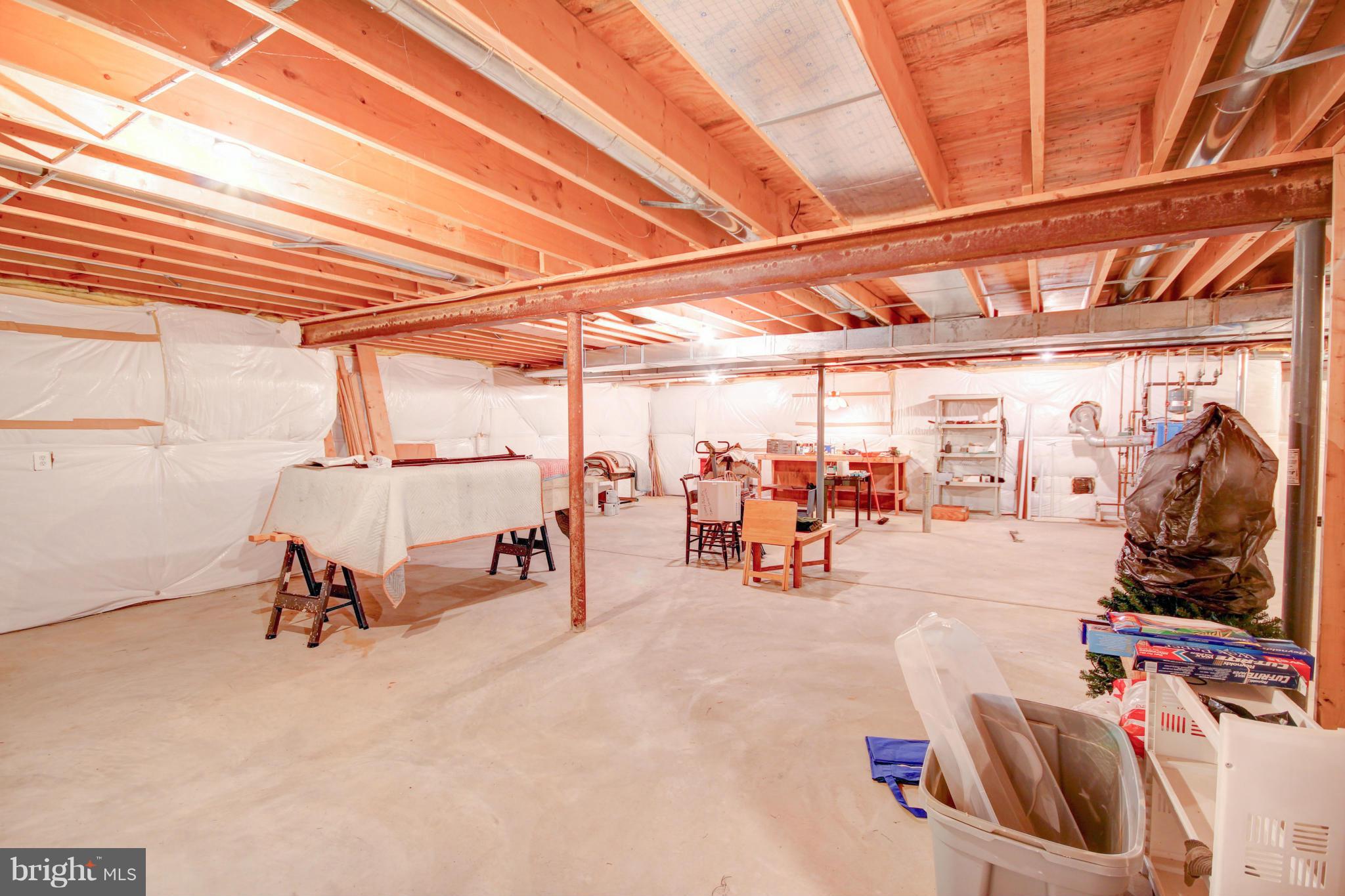 7303 Morgan Road Woodbine, MD 21797 - Photo 19 of 30 Basement