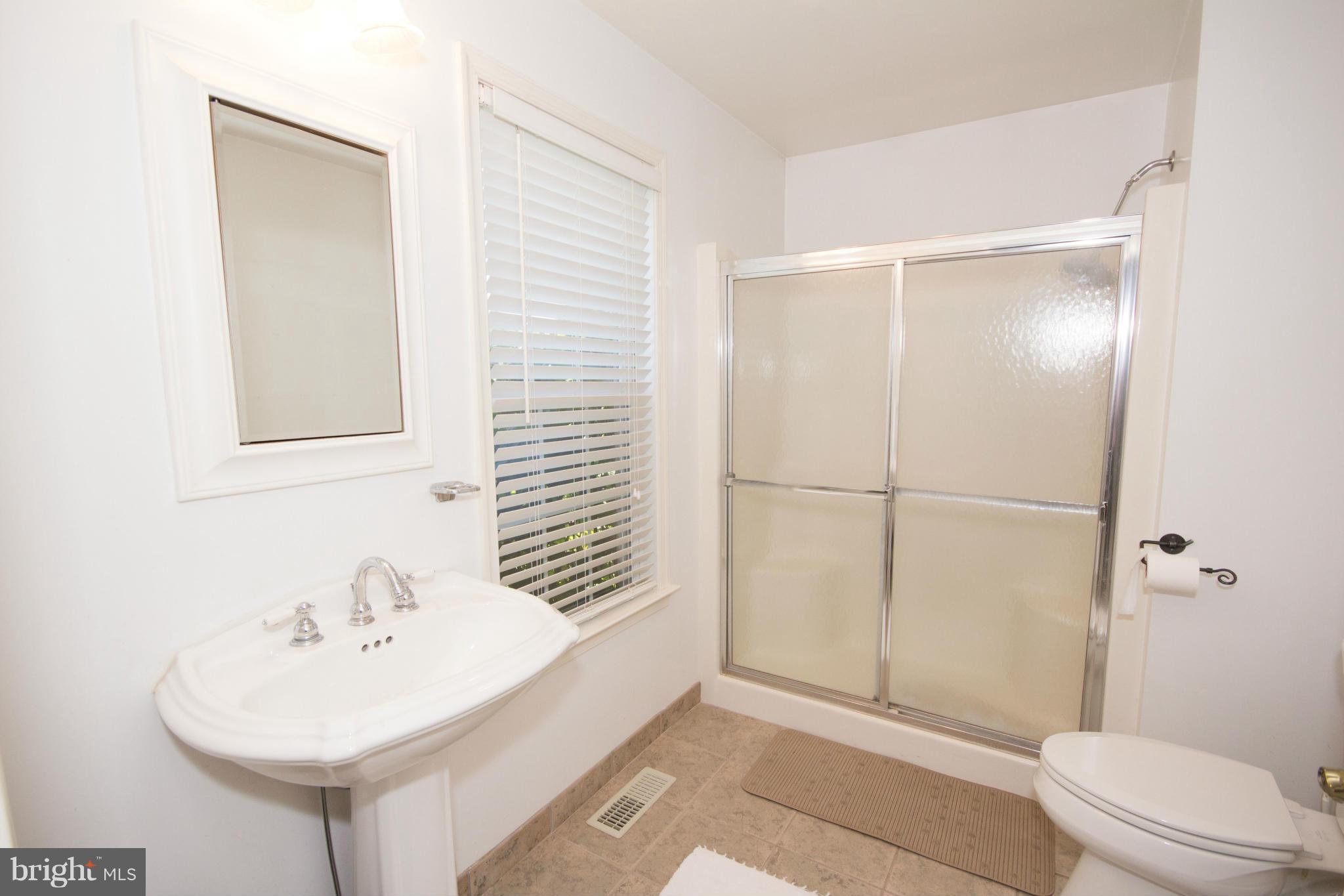 7303 Morgan Road Woodbine, MD 21797 - Photo 22 of 30 2nd Master Bath in same master bedroom!