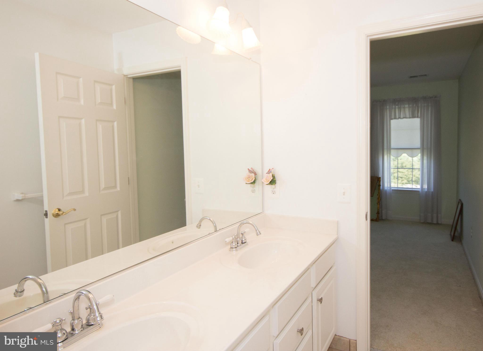 7303 Morgan Road Woodbine, MD 21797 - Photo 23 of 30 Jack and Jill Bath