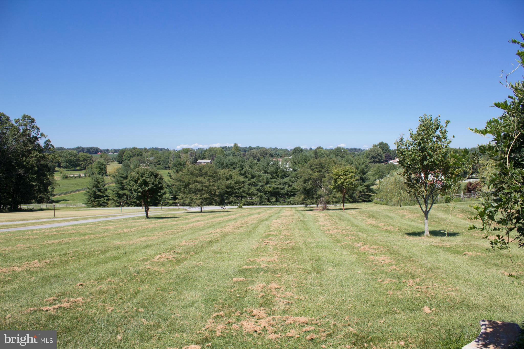7303 Morgan Road Woodbine, MD 21797 - Photo 26 of 30 View from house over front yard