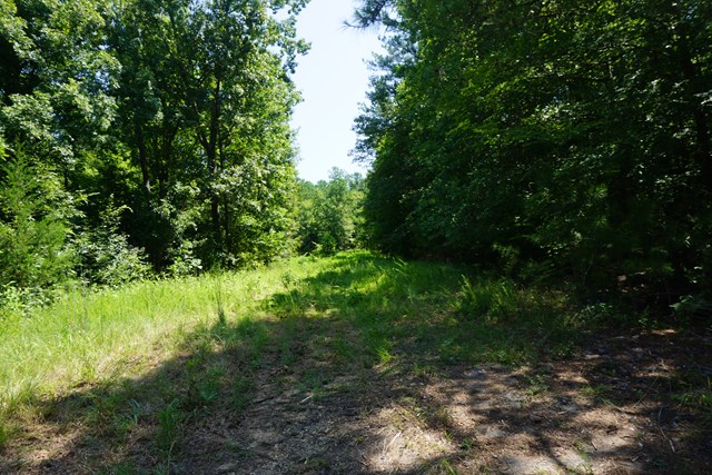 0 Tomachichi Road Cross Hill, SC 29332 - Photo 1 of 1 Gallery Image 1