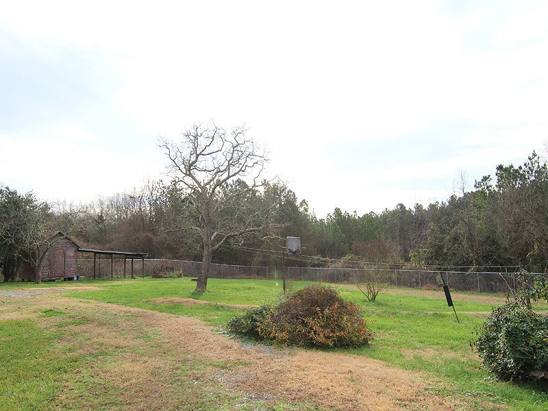 2216 Ellis Chapel Road Bahama, NC 27503 - Photo 12 of 13 Yard