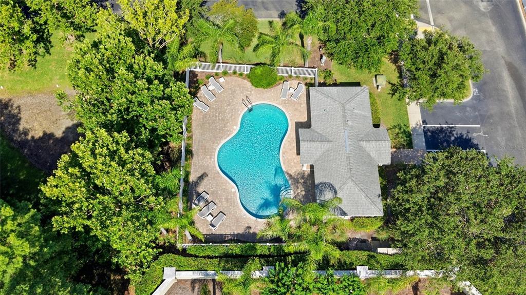 485 Harbor Ridge Drive Palm Harbor, FL 34683 - Photo 39 of 46