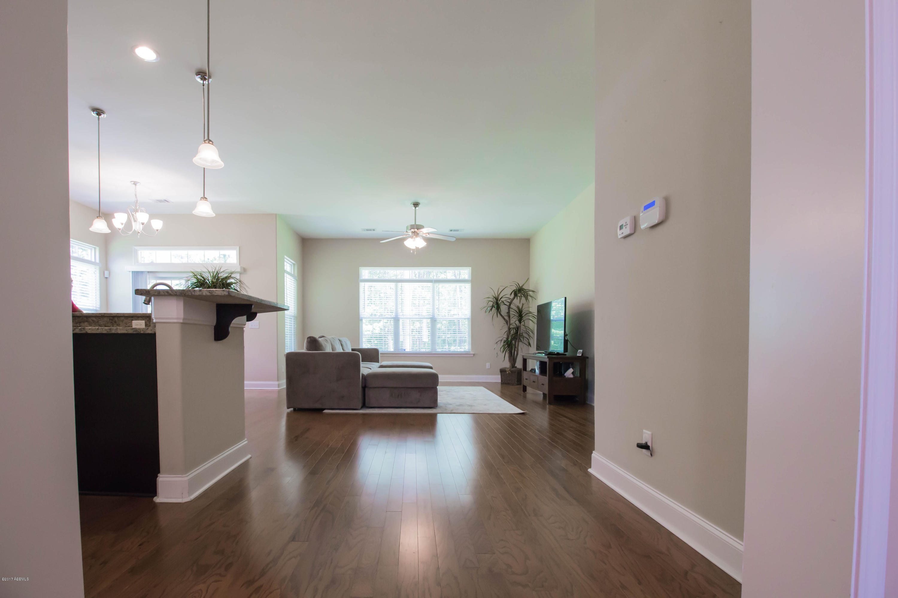 111 Bluefield Lane Ridgeland, SC 29936 - Photo 3 of 21 _MG_4106