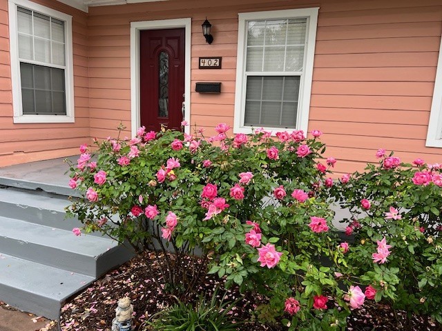 402 Southern Street Corpus Christi, TX 78404 - Photo 40 of 40