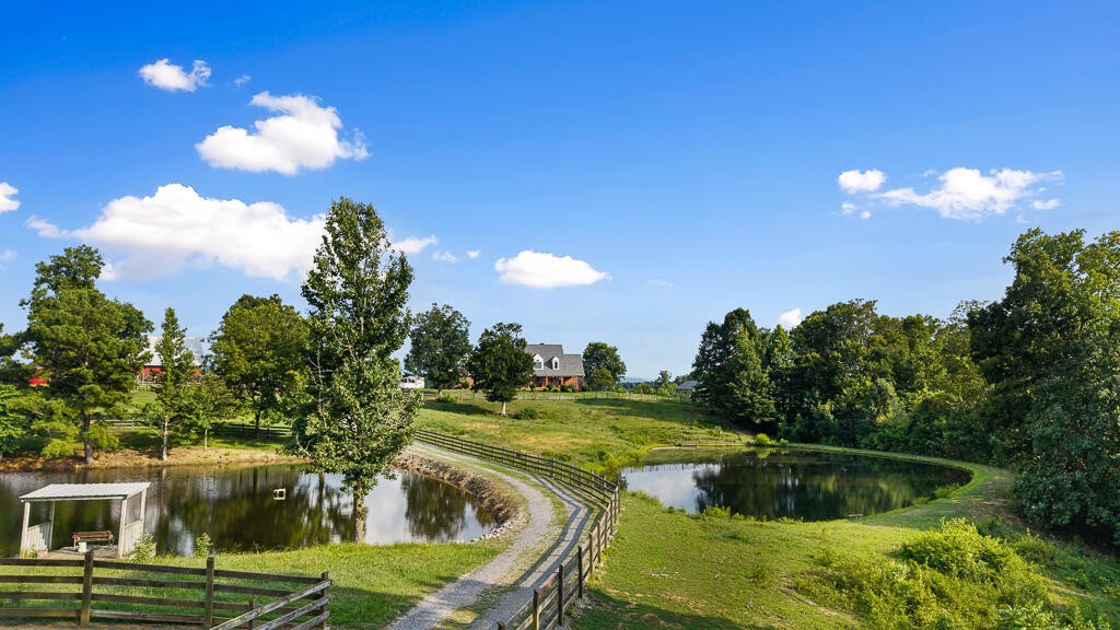559 White Road Old Fort, TN 37362 - Photo 10 of 100 Gallery Image 10