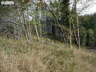 83615 Clear Lake Road, Unit 18 Florence, OR 97439 - Photo 16 of 29