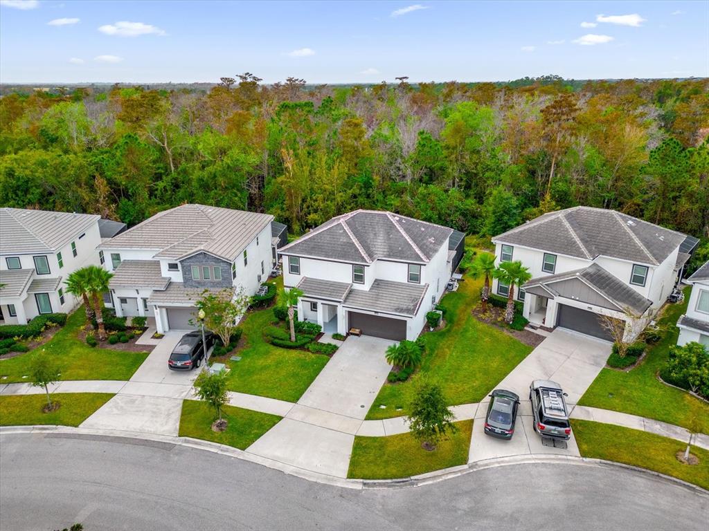 4571 Cabello Loop Kissimmee, FL 34746 - Photo 3 of 45