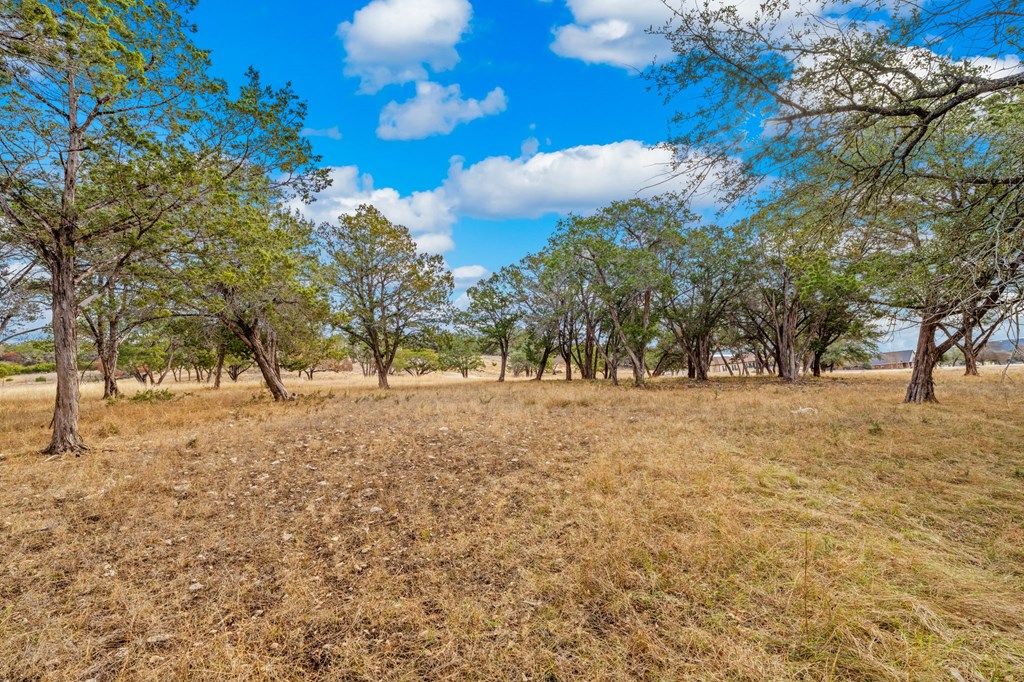 Lot 89 Spring Lakes Parkway Ingram, TX 78025 - Photo 4 of 19