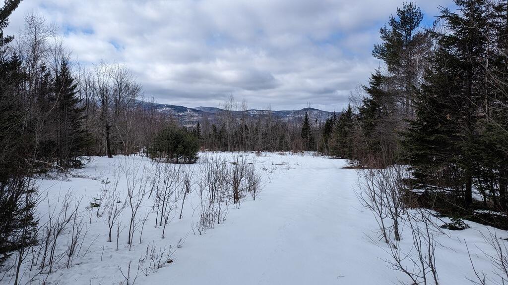 Lot 9 Pinkham Hill Road Phillips, ME 04966 - Photo 5 of 23 014