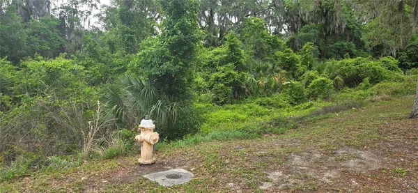 $445,000 | 2392 North Heritage Oaks Path, Hernando, FL 34442