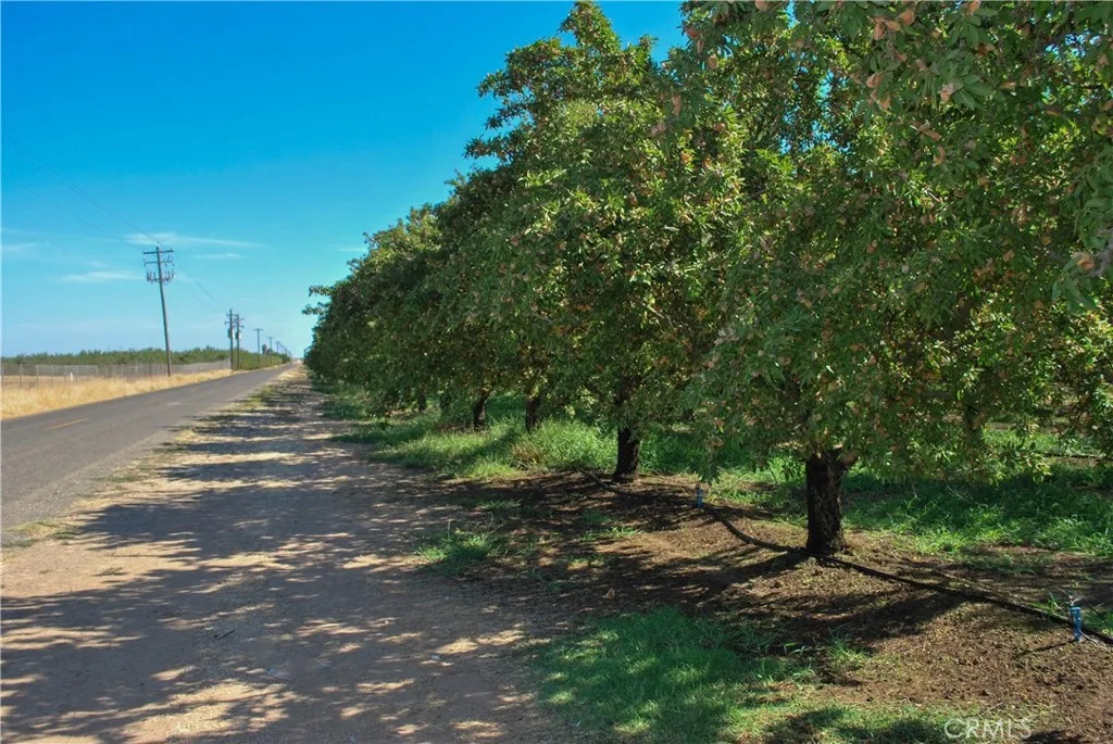 a view of a dirt road with trees in the background