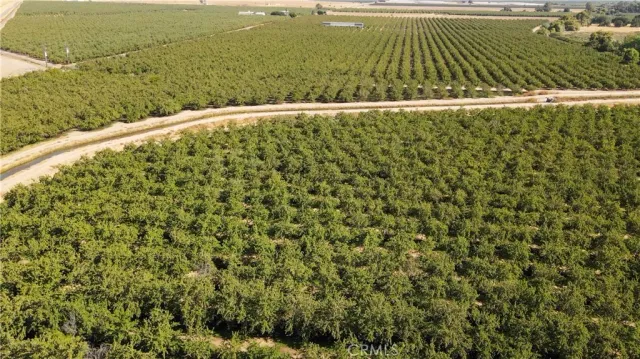 a close up of a green field