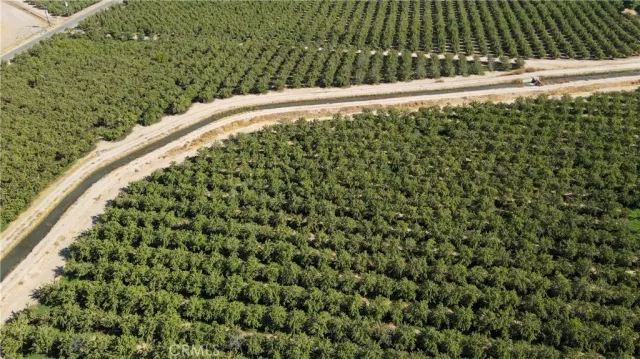 a view of a bird bath