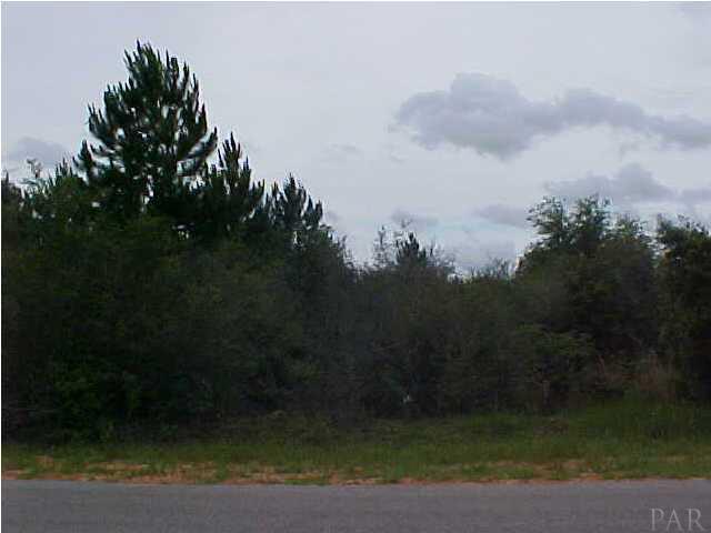 0 Hay Meadow Road Milton, FL 32583 - Photo 1 of 4 Gallery Image 1