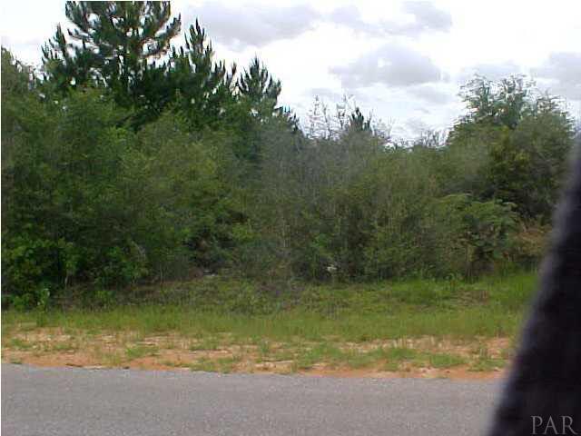 0 Hay Meadow Road Milton, FL 32583 - Photo 2 of 4 Gallery Image 2
