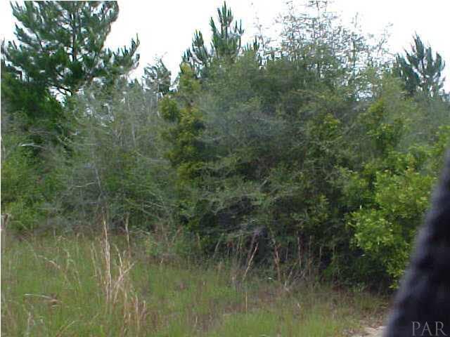 0 Hay Meadow Road Milton, FL 32583 - Photo 4 of 4 Gallery Image 4