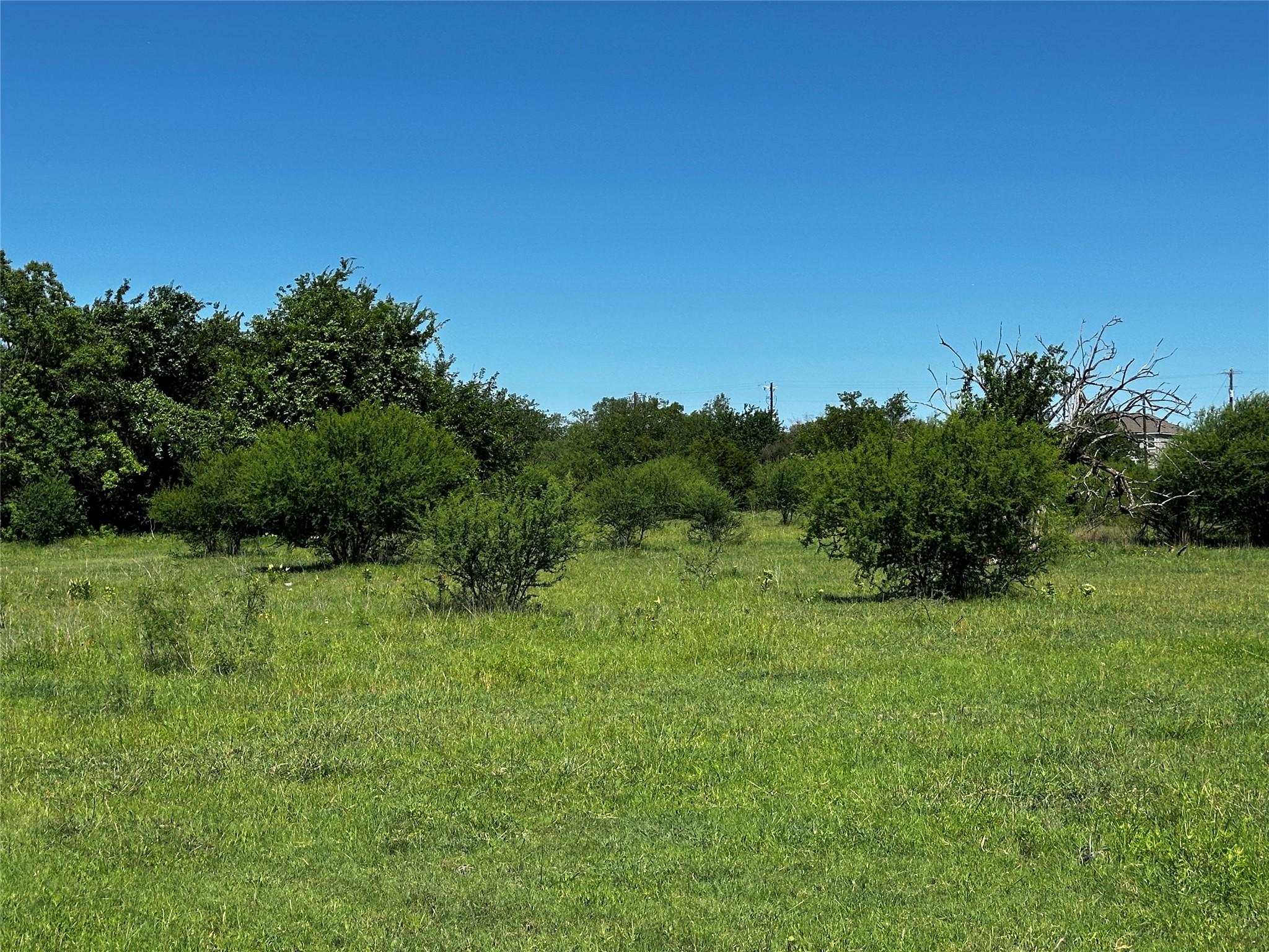 Tbd Scott Street Kyle, TX 78640 - Photo 20 of 30 a view of a green field with lots of bushes
