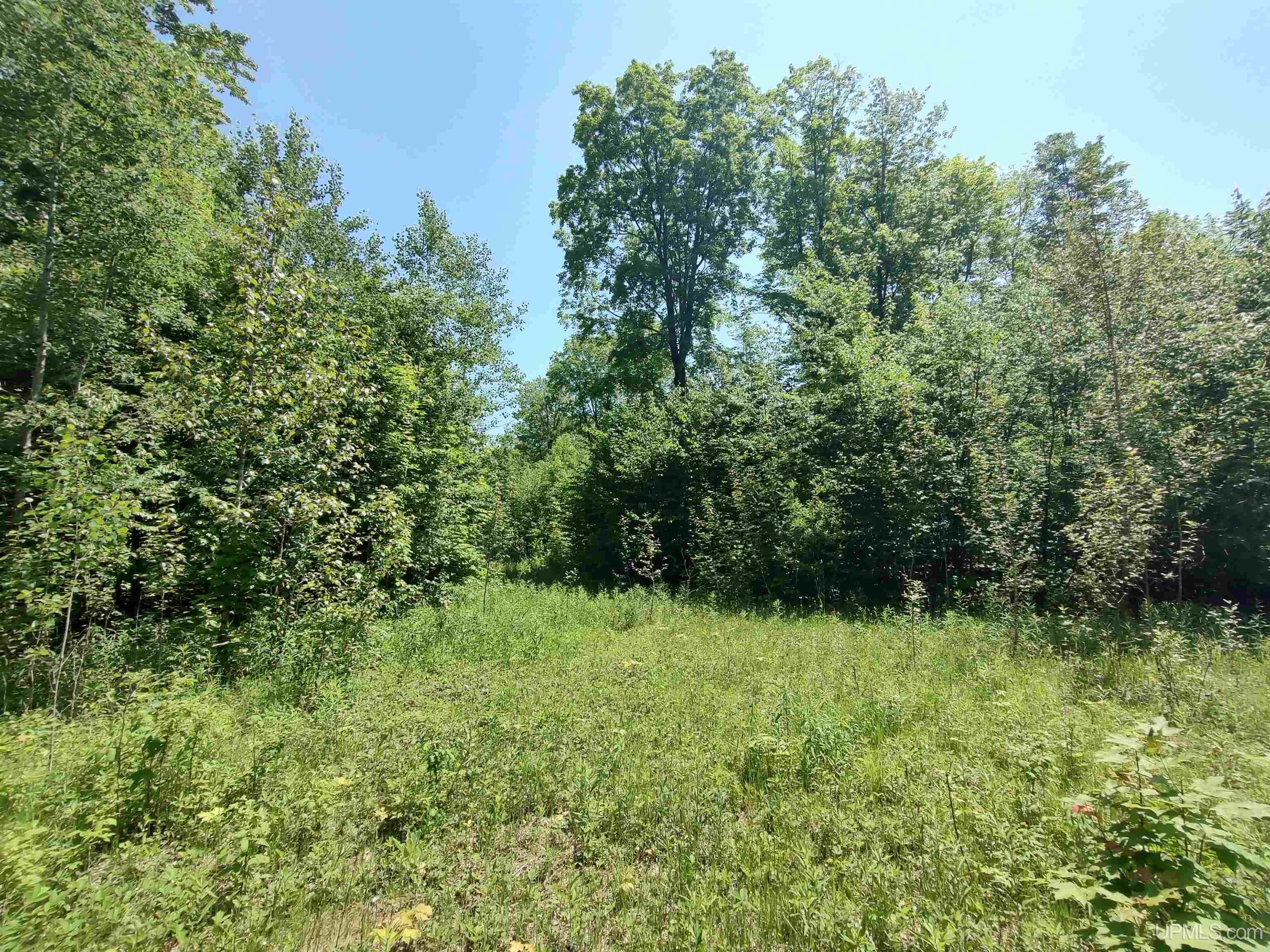 40-acres 40-acres Maple Grove Road Skandia, MI 49885 - Photo 12 of 19
