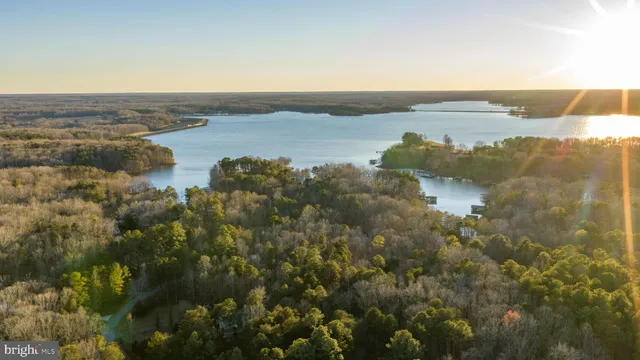 a picture of flowers