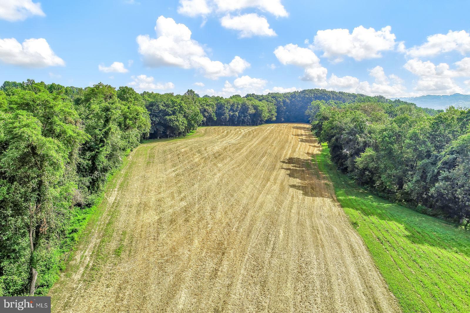 0 Hoffman Road Windsor, PA 17366 - Photo 14 of 17