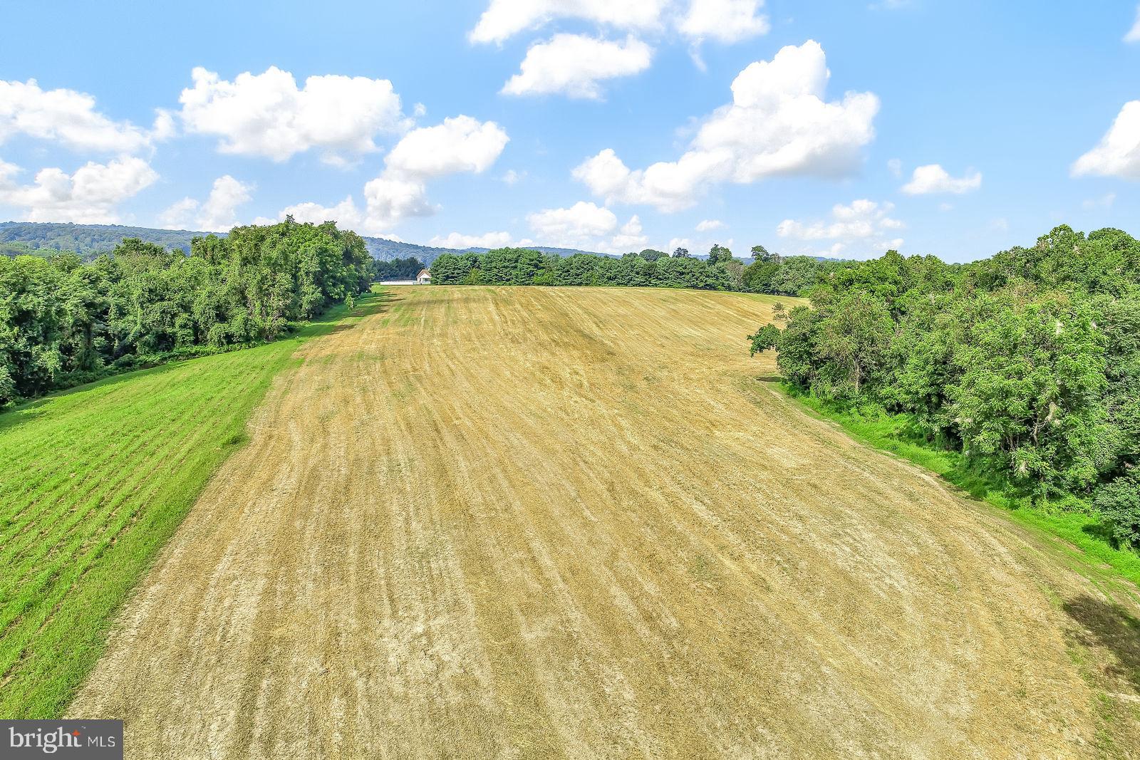 0 Hoffman Road Windsor, PA 17366 - Photo 15 of 17