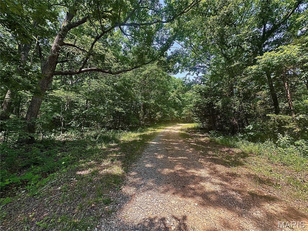 0 Rue Irene Bonne Terre, MO 63628 - Photo 2 of 6