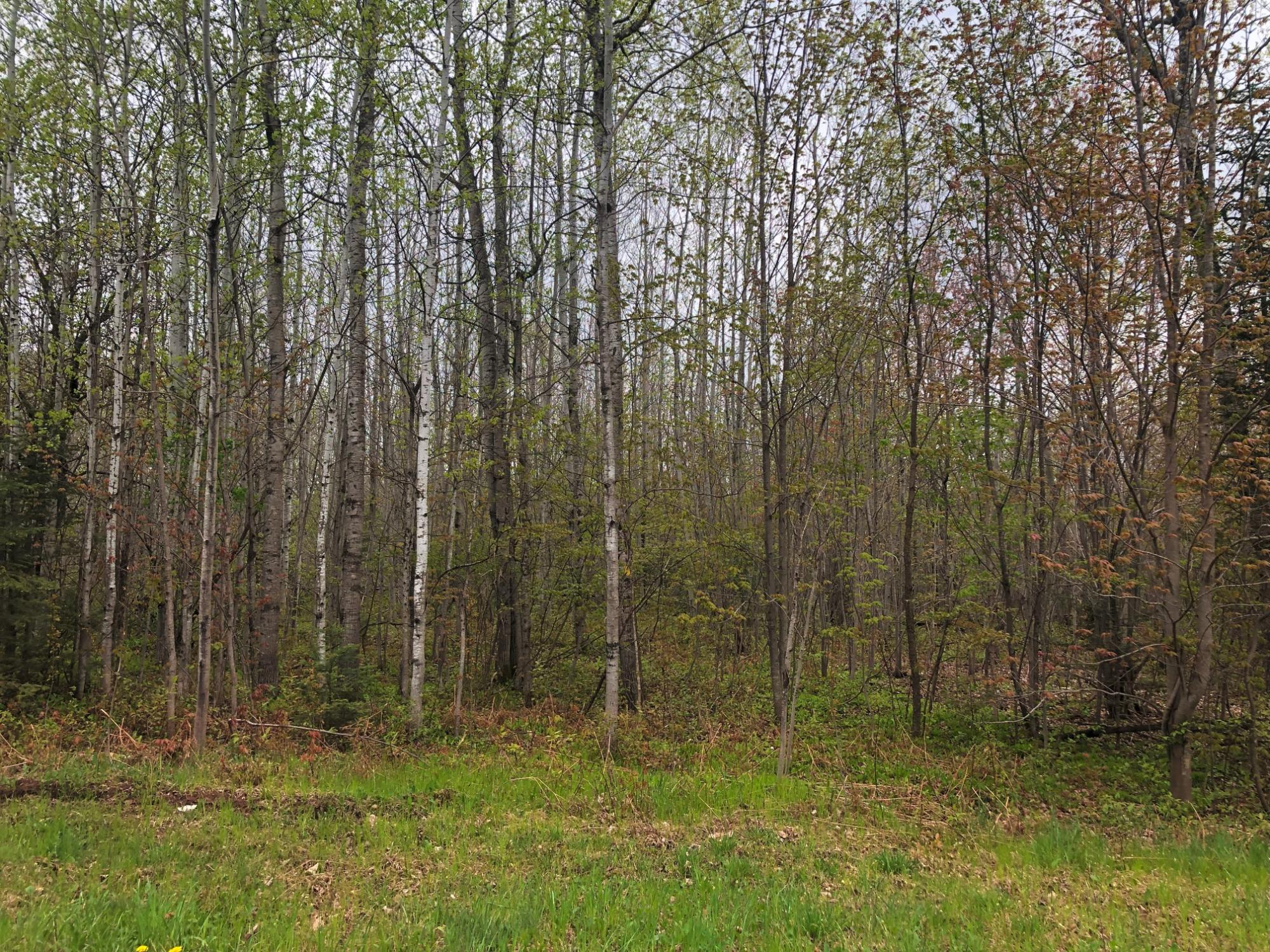 14287 Clement Road Saxon, WI 54559 - Photo 23 of 29 Gallery Image 23
