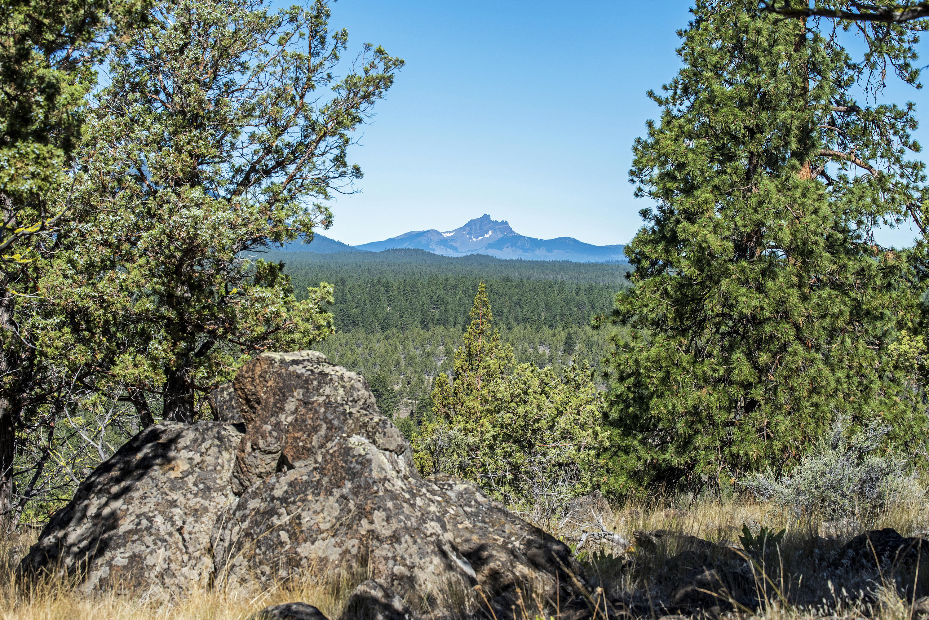 17990 Mountain View Road Sisters, OR 97759 - Photo 7 of 21 Natural rock outcroppings, Ponderosa Pines, Junipers, wild flowers, and an abundance of wild life, along with a private, peaceful, big view setting. Amazing dark sky nights!