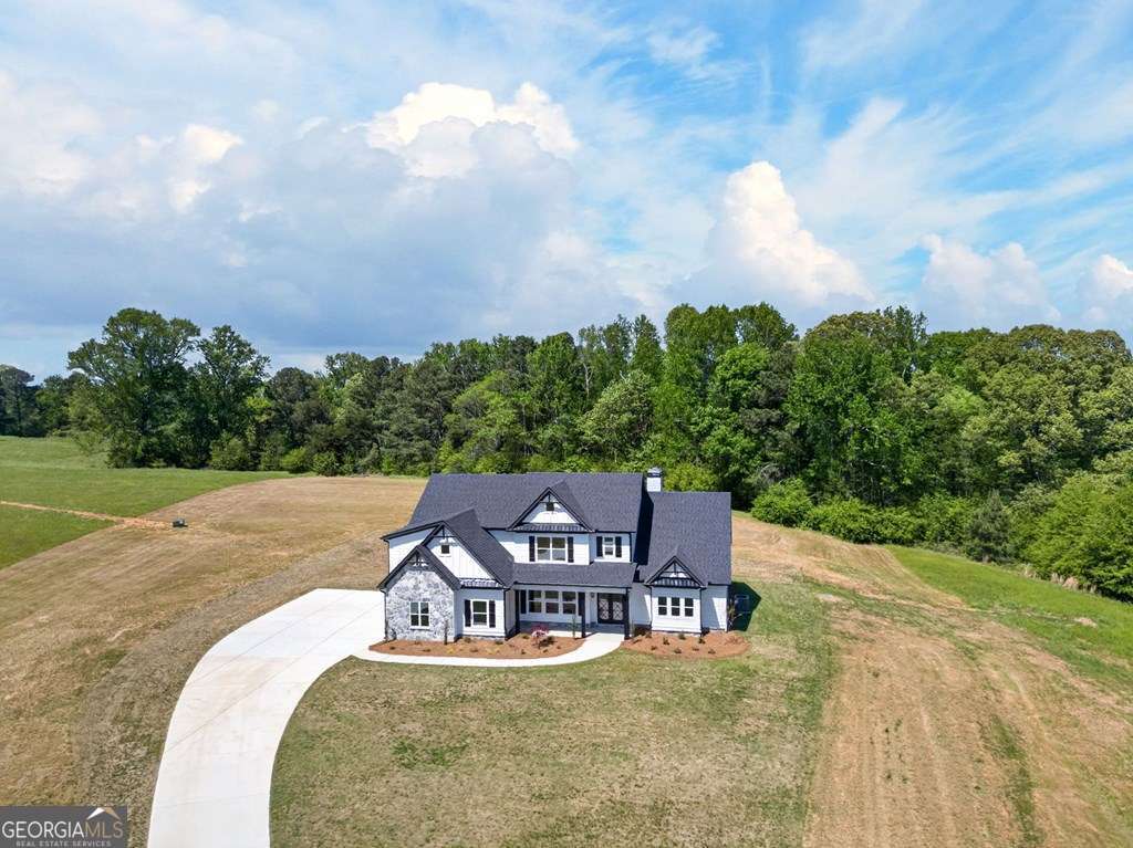 14539 County Road 10 Ranburne, AL 36273 - Photo 3 of 54 Gallery Image 3