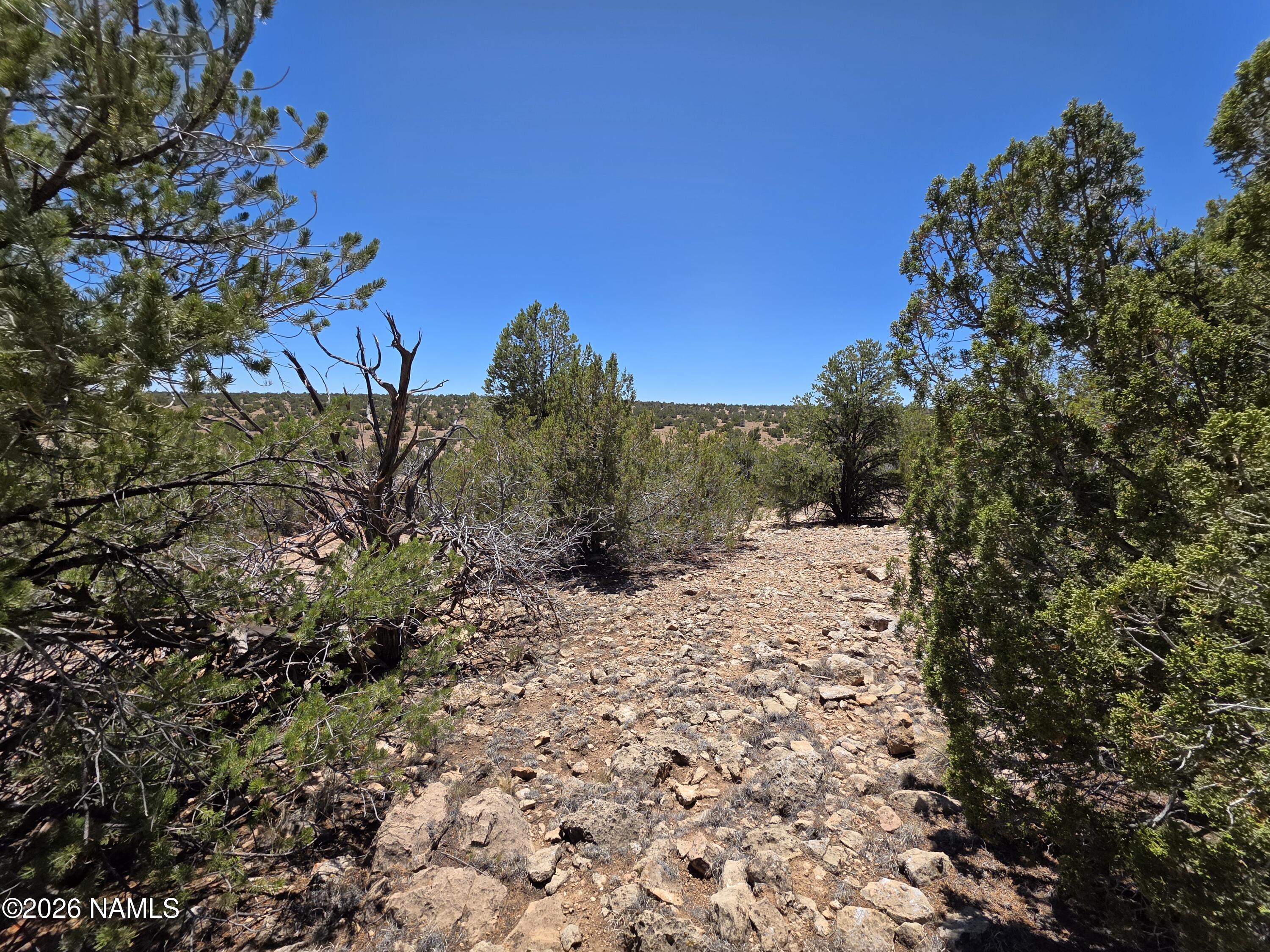 9966 Northstar Road Williams, AZ 86046 - Photo 11 of 37 1000065018