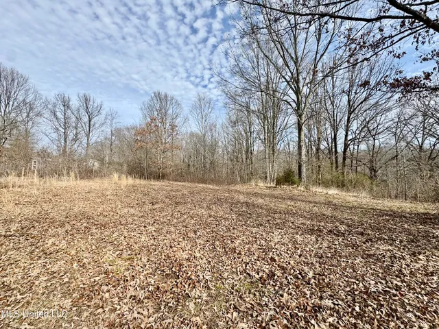 $49,900 | 0 Tolbert Road, Coldwater, MS 38618
