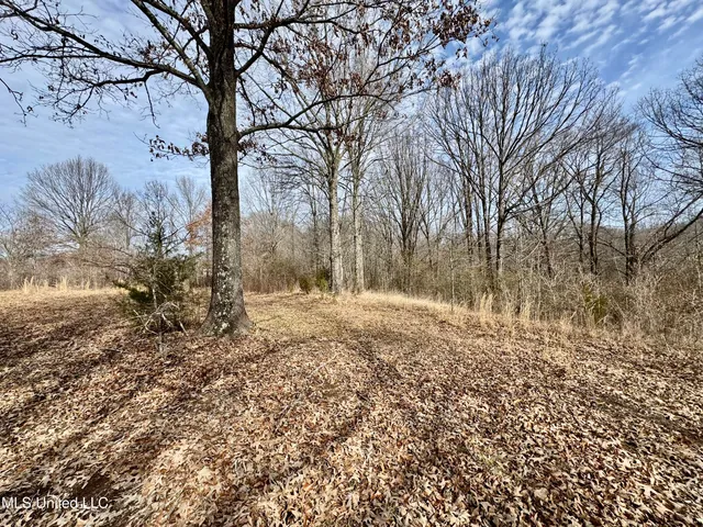 $49,900 | 0 Tolbert Road, Coldwater, MS 38618